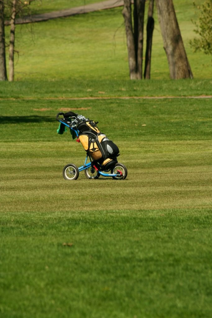 Golf bag on the fairway of a course